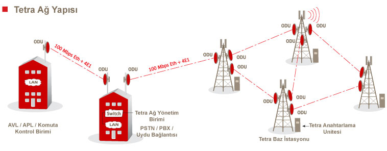 Tetra Omurga Ağ Yapısı